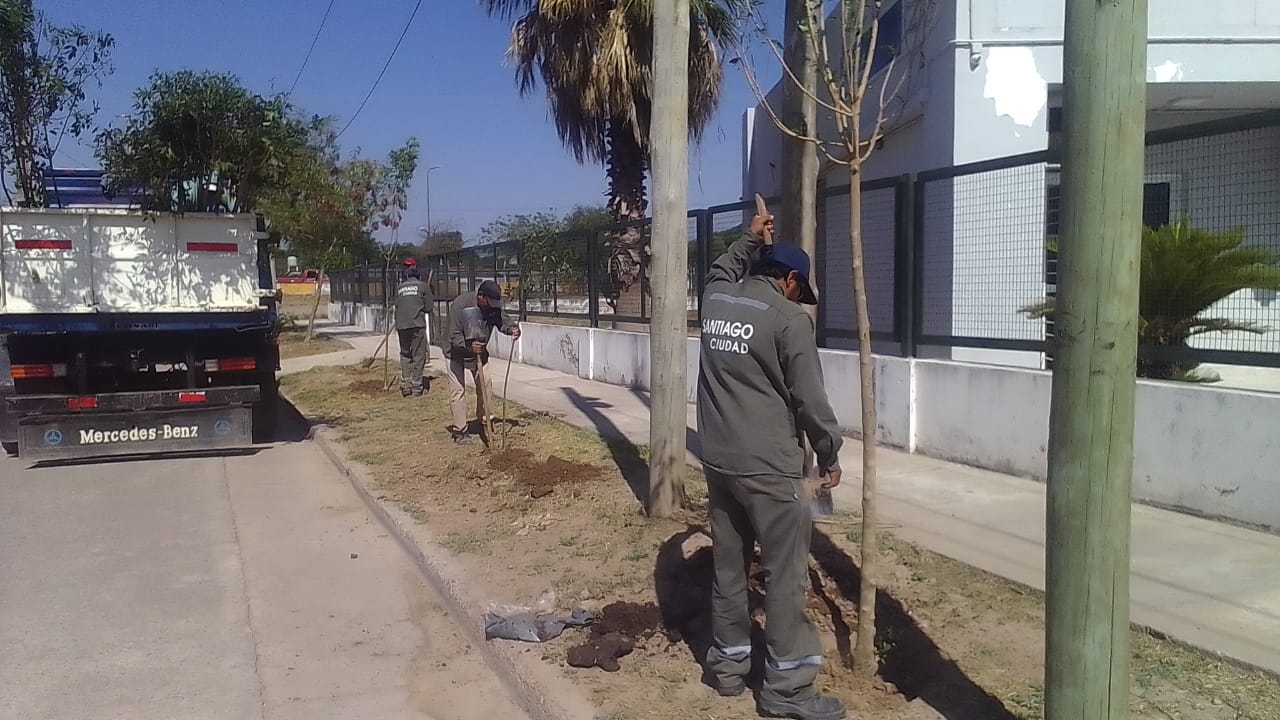 PLANTACION
