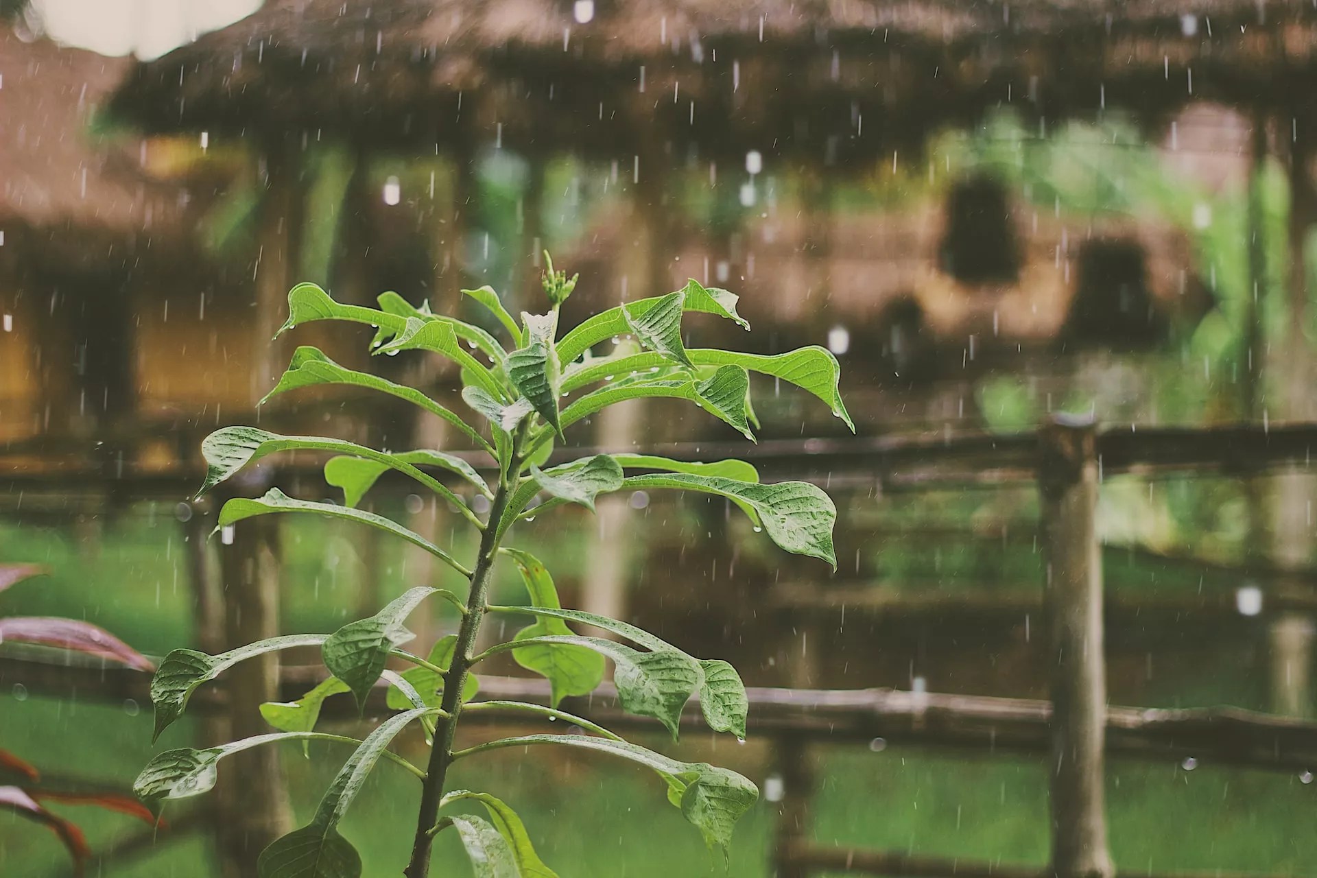 DOMINGO CON LLUVIAS EN LA CIUDAD DE SANTA FE