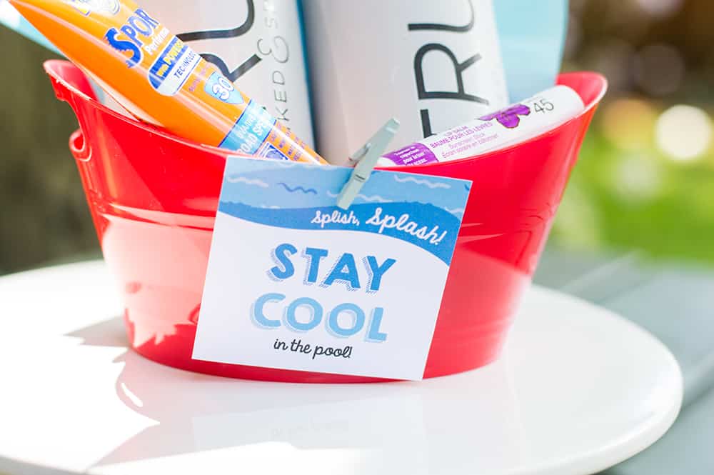 Visitors will certainly be delighted to leap right in on an excellent summer occasion. Sips And Poolside Dips Hostess Gift Elva M Design Studio