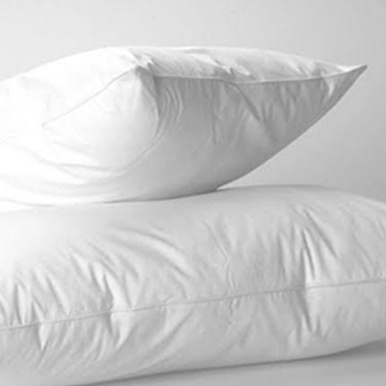 most expensive pillows