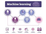 What Is Machine Learning Ml Types Models Algorithms Enterprise