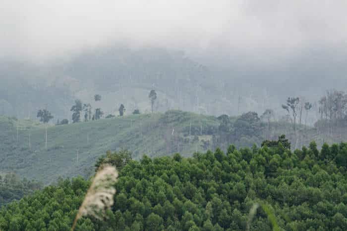 Our Lasting Legacy: Agent Orange Pollution in Vietnam - Vimarsana News