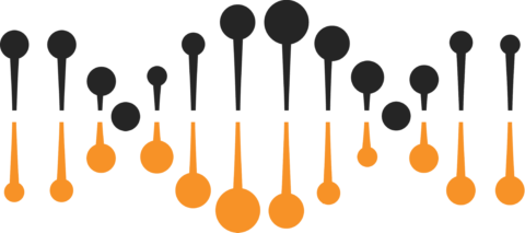 EMBARK marketing agency in cardiff has worked with Made Coaching