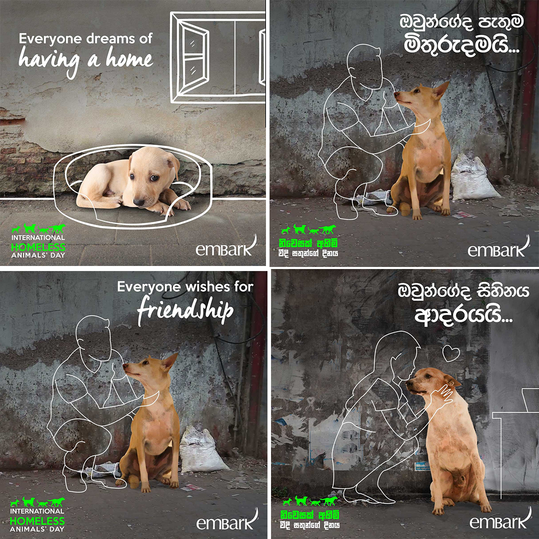 Embark Our Much Loved Embark 2021 Calendar Is Still Embark conducts Adoption Days every weekend to help find homes for homeless puppies and rescued dogs.