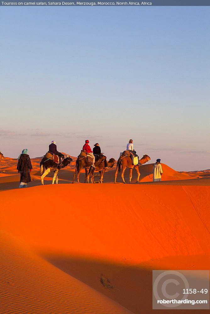 Tourists On Camel Safari Sahara Stock Photo