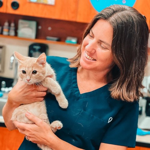 Reviews and information for banfield pet hospital in winter garden, fl. Ww2h1qbfkmnp7m