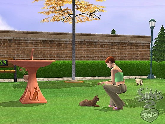 Capture d'écran Les Sims 2