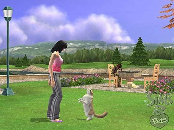 Capture d'écran Les Sims 2