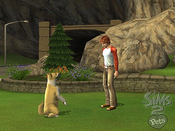 Capture d'écran Les Sims 2