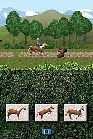 Capture d'écran Léa Passion Vétérinaire