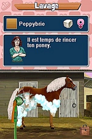 Capture d'écran Pony Friends