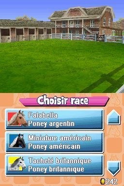 Capture d'écran Pony Friends