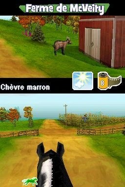 Capture d'écran Pony Friends