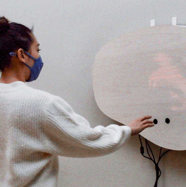 Intelligence in Environments