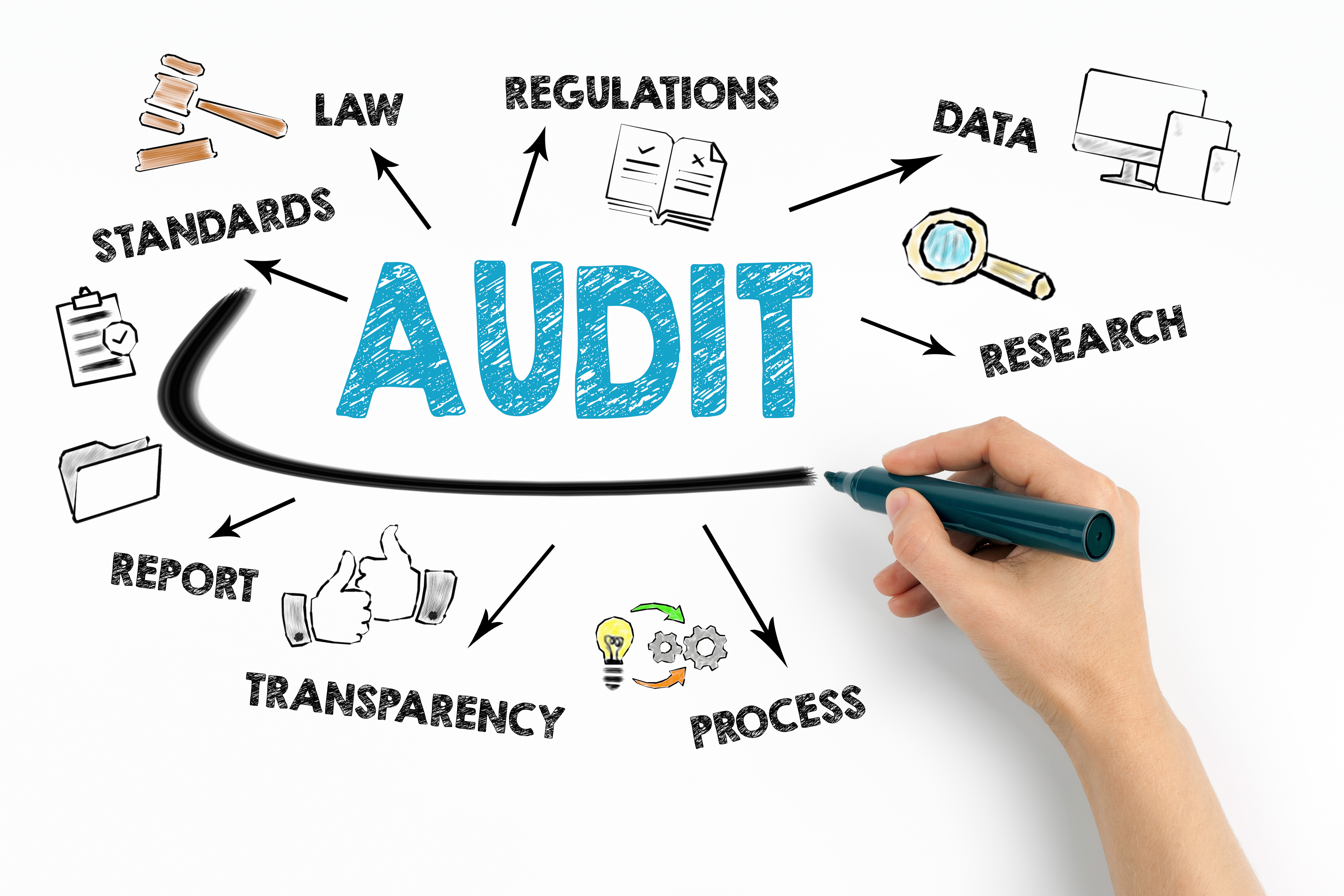 An audit concept chart with keywords and icons on white background. The keywords include AUDIT, regulations, data, research, process, transparency, report, standards, and law.