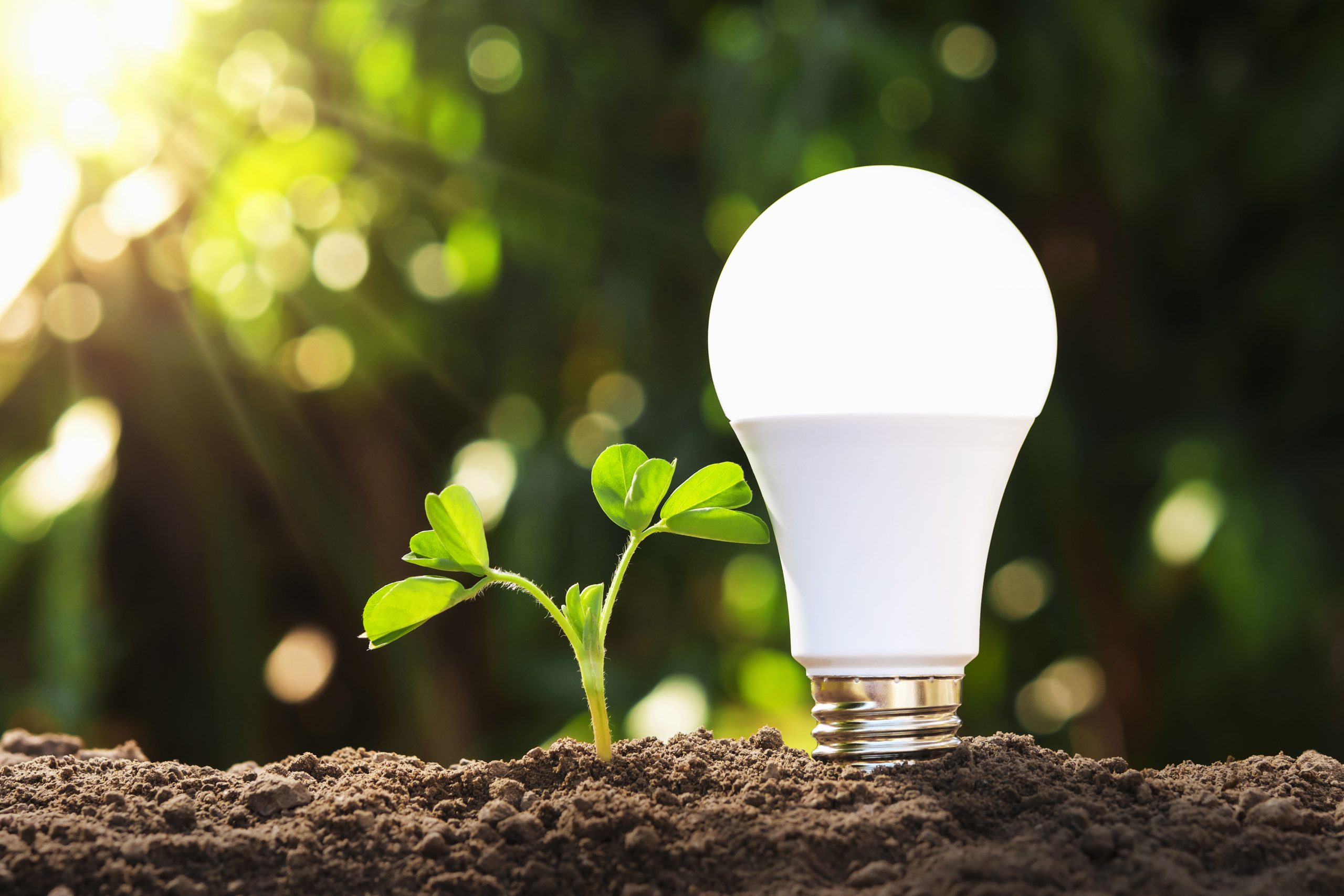 led lighting the greener option