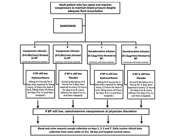 Multiple Center Rcts Pulmcrit - Renoresuscitation, vasopressin, vepinephrine, and VANISH