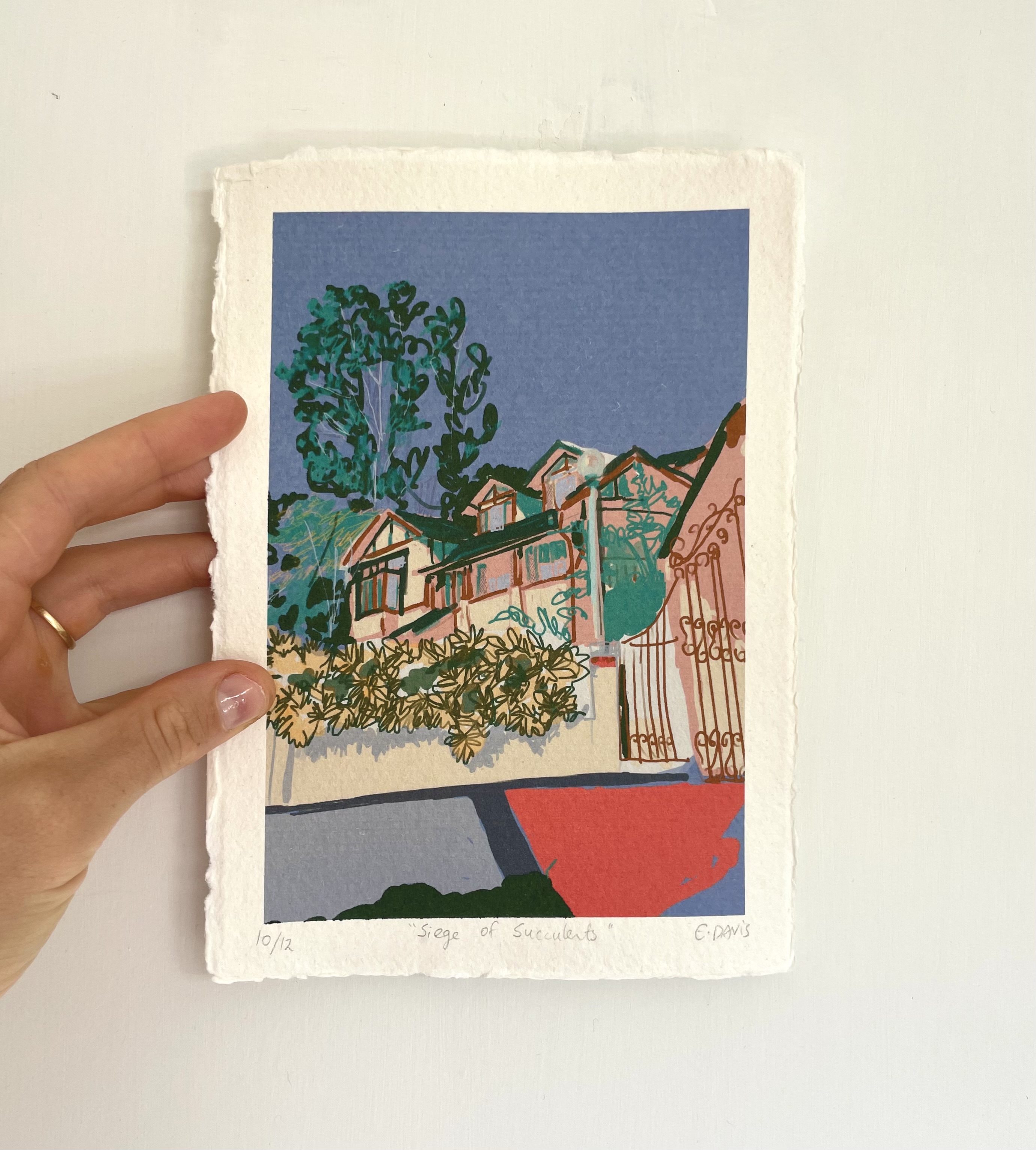 Illustration showing a house with a garden of succulents