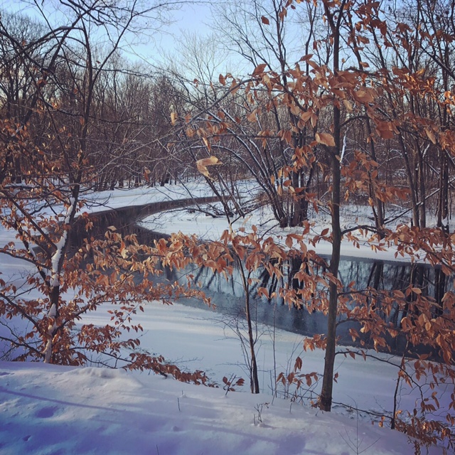 Skiing along the river