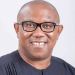 BREAKING: PDP presidential aspirant withdraws, declares support for Peter Obi, asks Wike, others to do same
