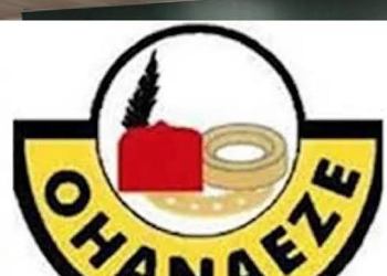 Ohanaeze in disarray as faction rejects new president general