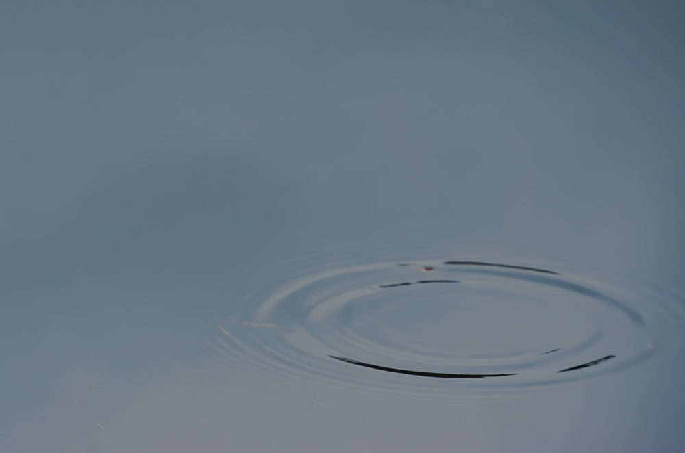 Vince Ferguson - Water - Digital Image