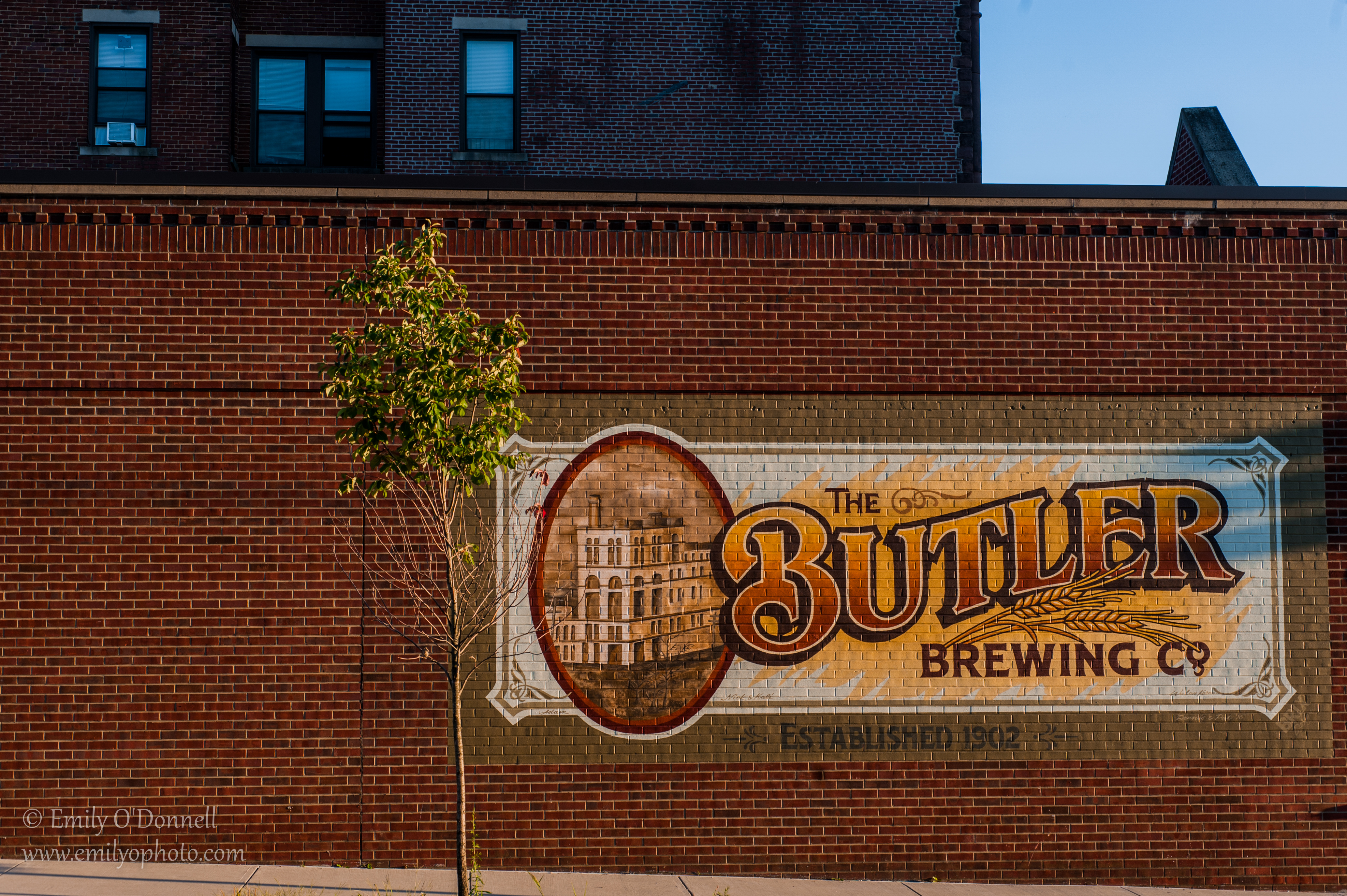 Food Photography: Butler Brew Works – Photography by Emily O'Donnell