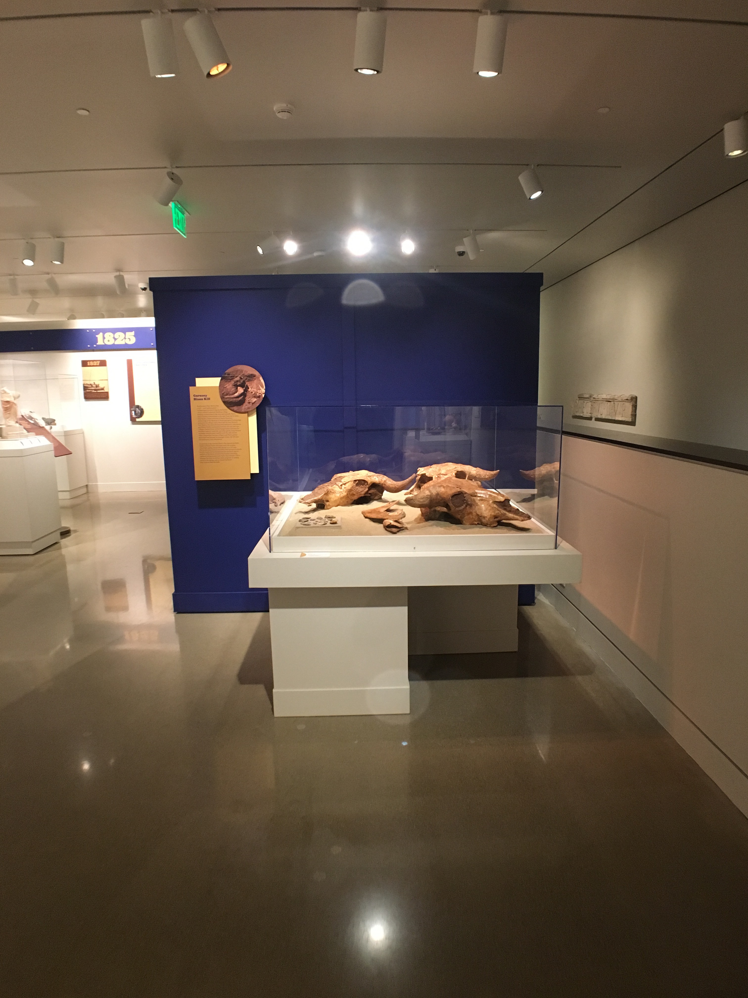 "Excavating Archaeology" gallery, Kelsey Museum, 2017