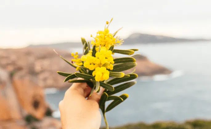 Blog The Emily Program - Gorgeous Light Texture - High Resolution