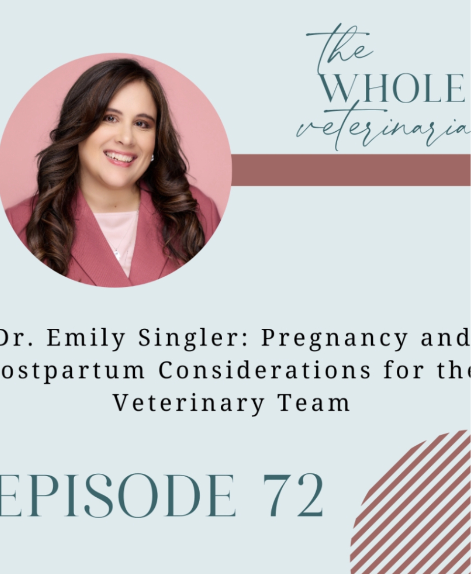 The Whole Veterinarian