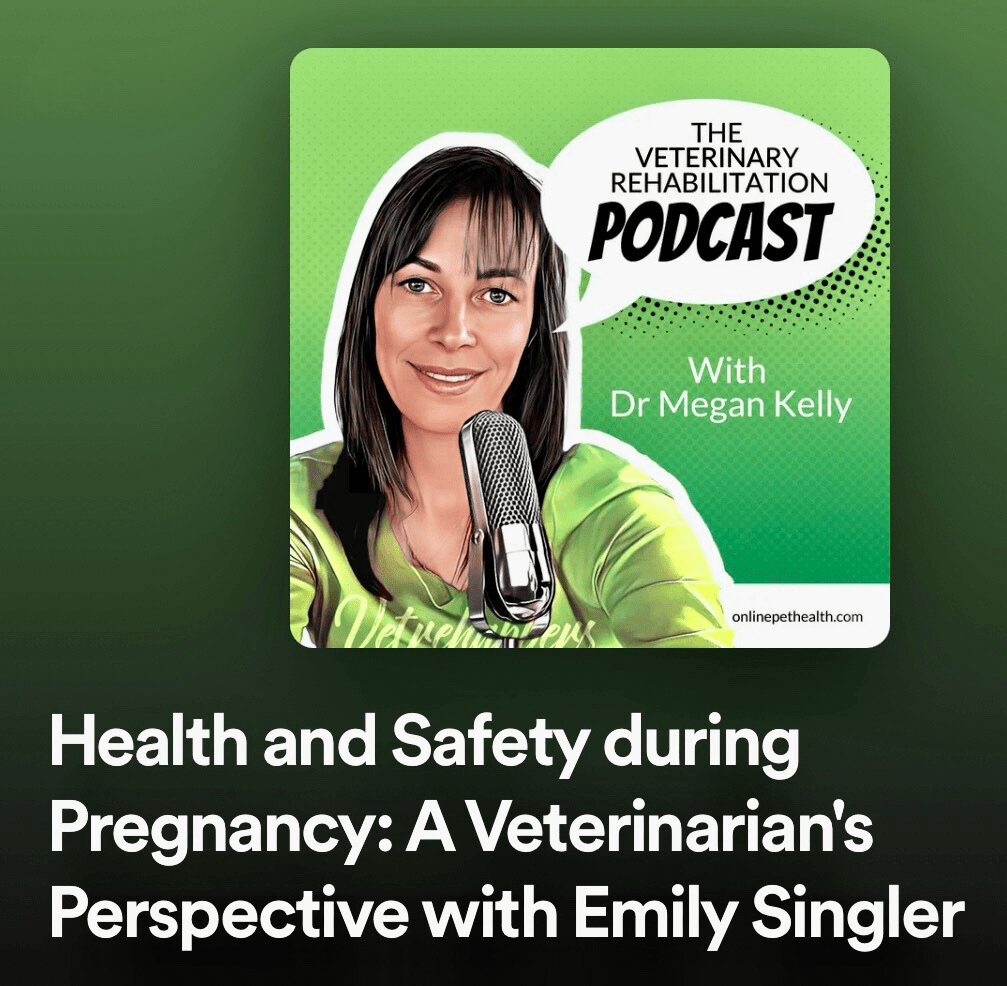 The Vet Rehab Podcast