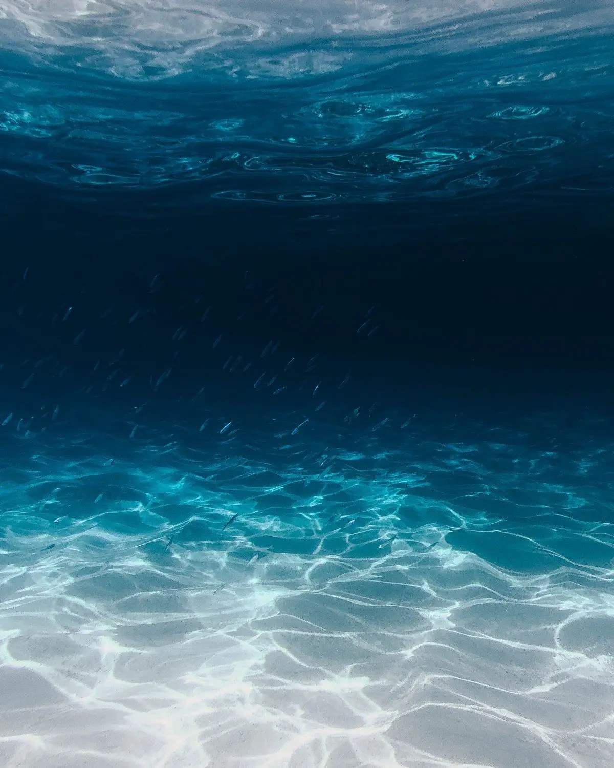 Under the ocean
