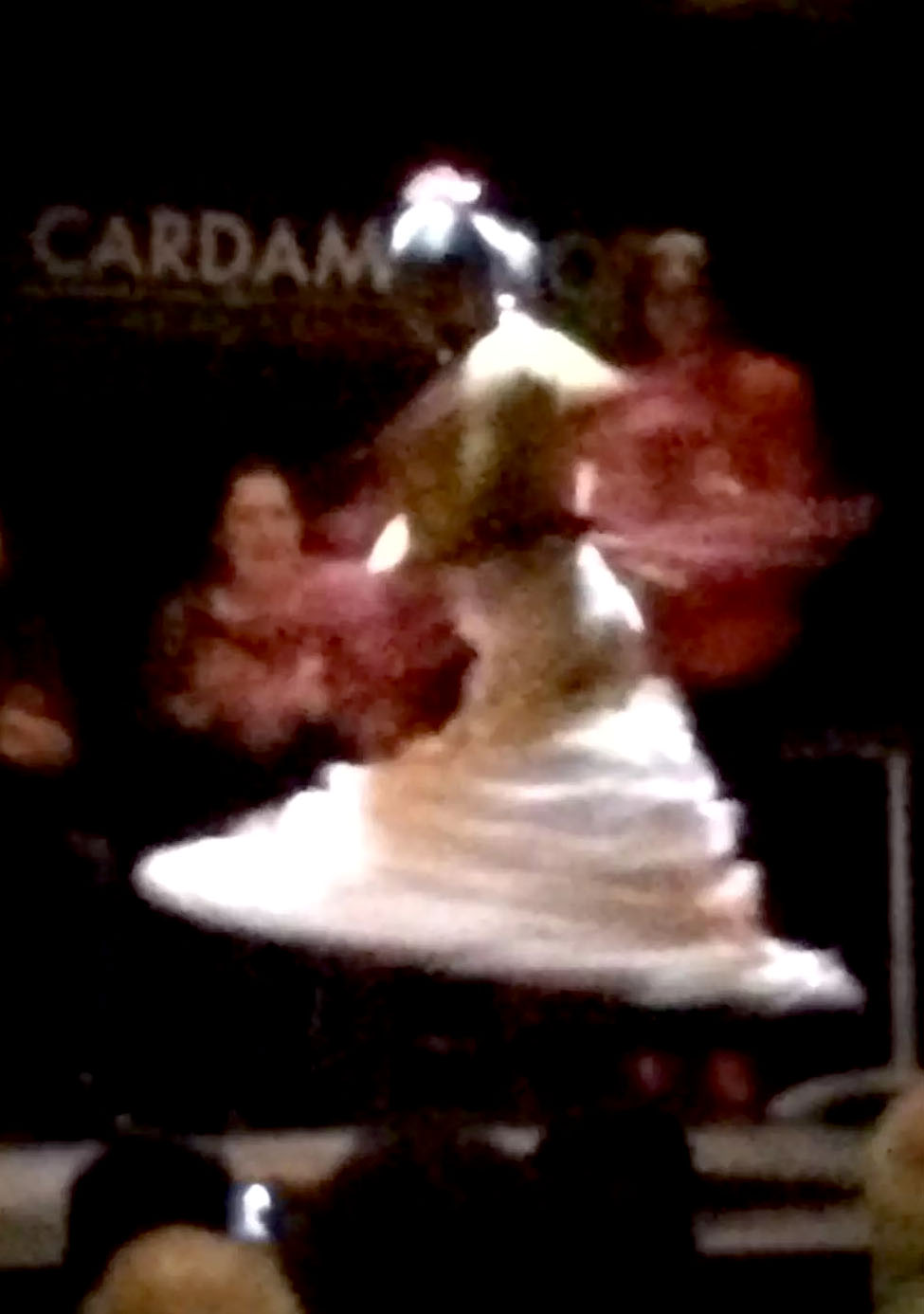 Cardamomo Flamenco Show Guitar Madrid Birthday