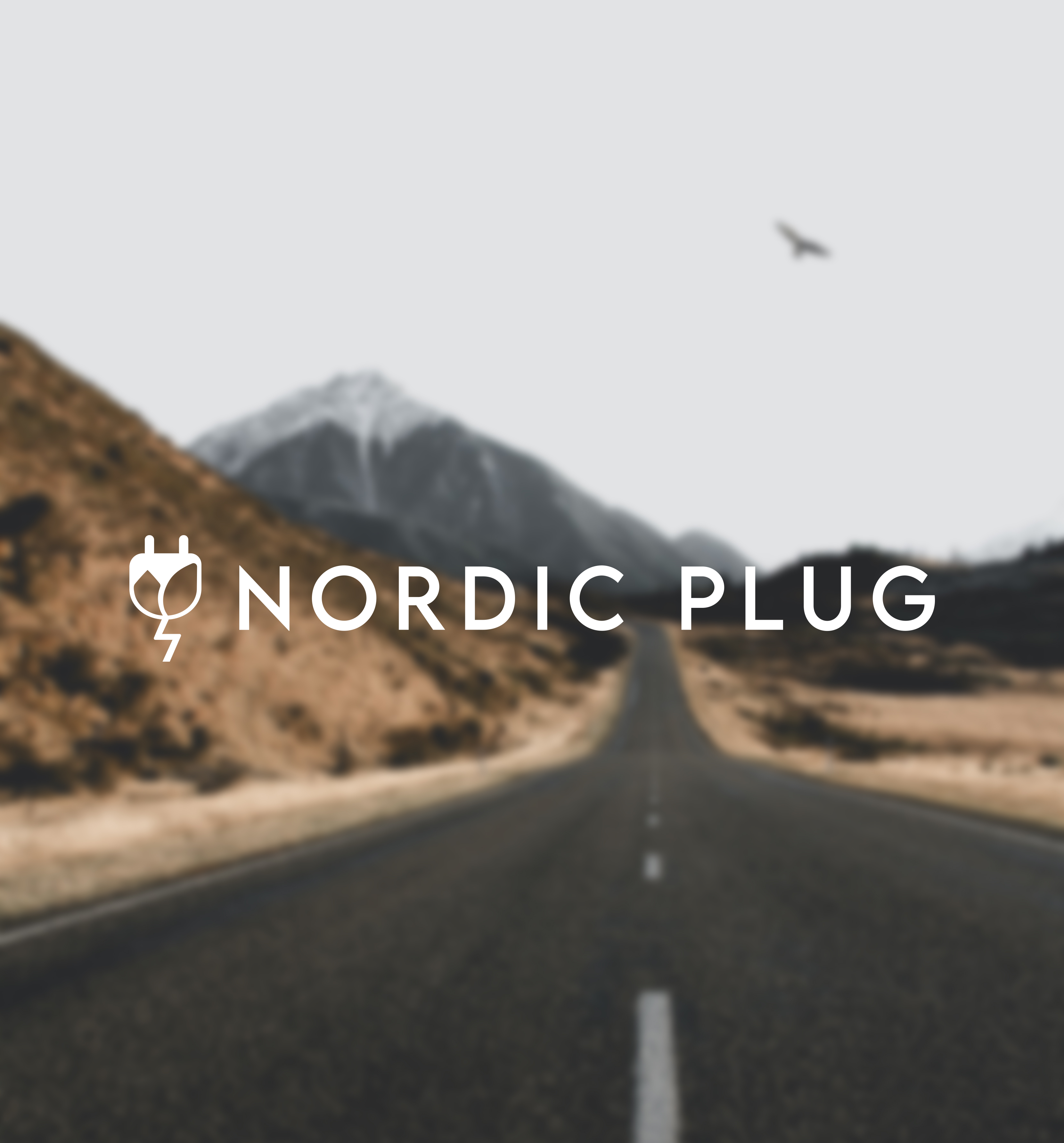 Nordic Plug