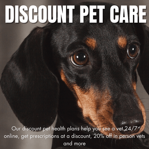 DiscountPetCare