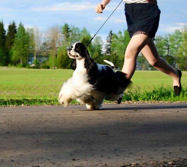 Four Seasons Hunique Abracadabra - Noppa