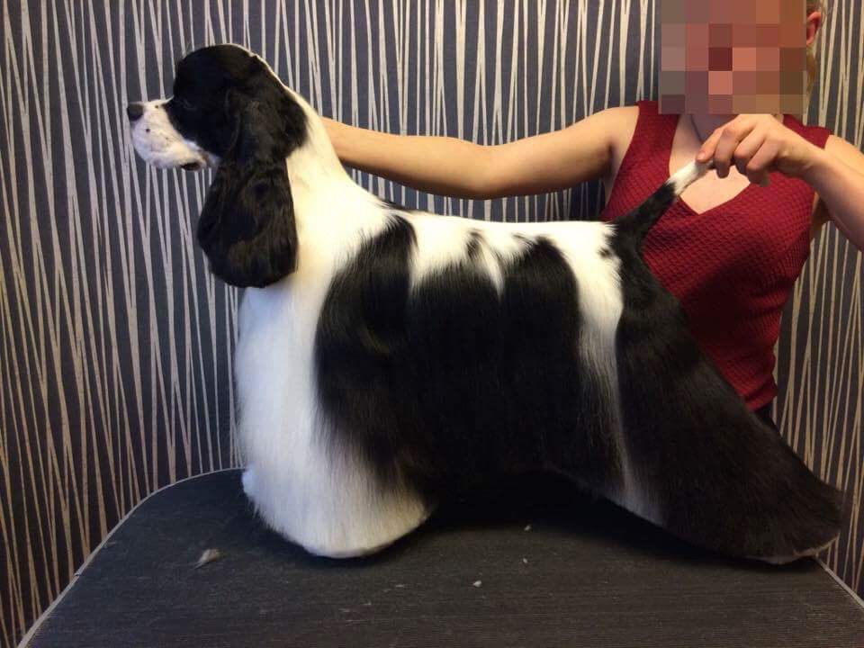 Four Seasons Hunique Abracadabra - Noppa