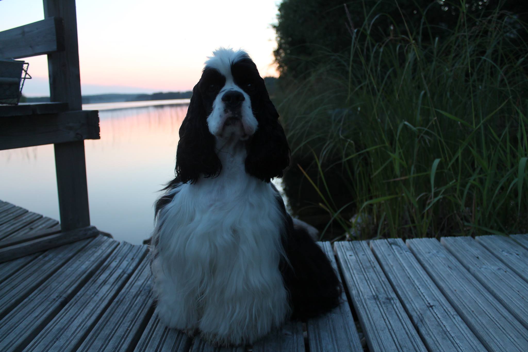 Four Seasons Hunique Abracadabra - Noppa