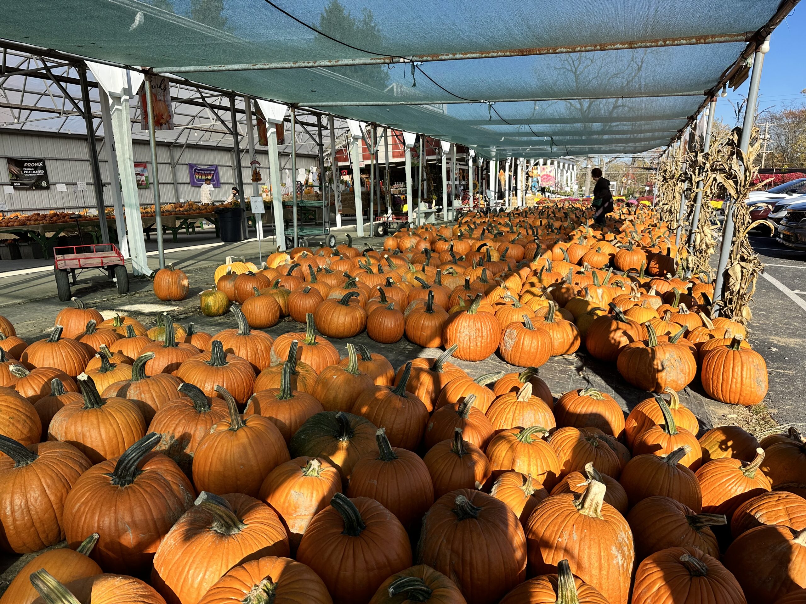 Jazz @ Emmanuel – November 10 – Harvest