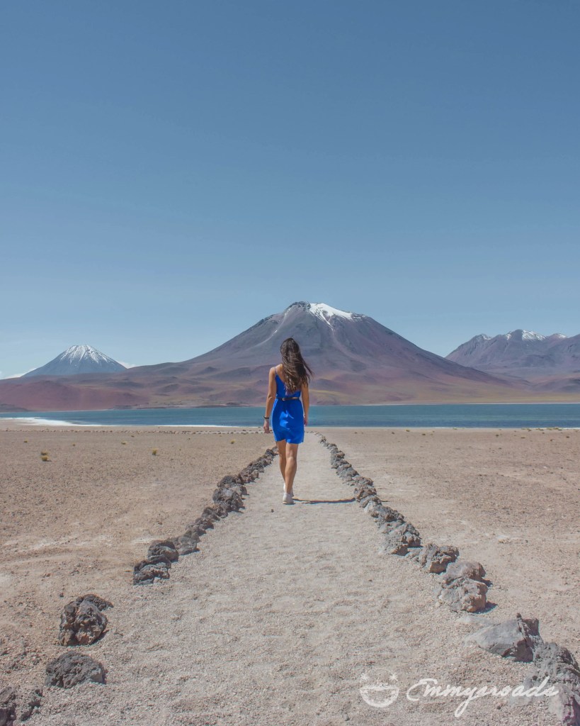 Serene Laguna Miniques in the Atacama Desert