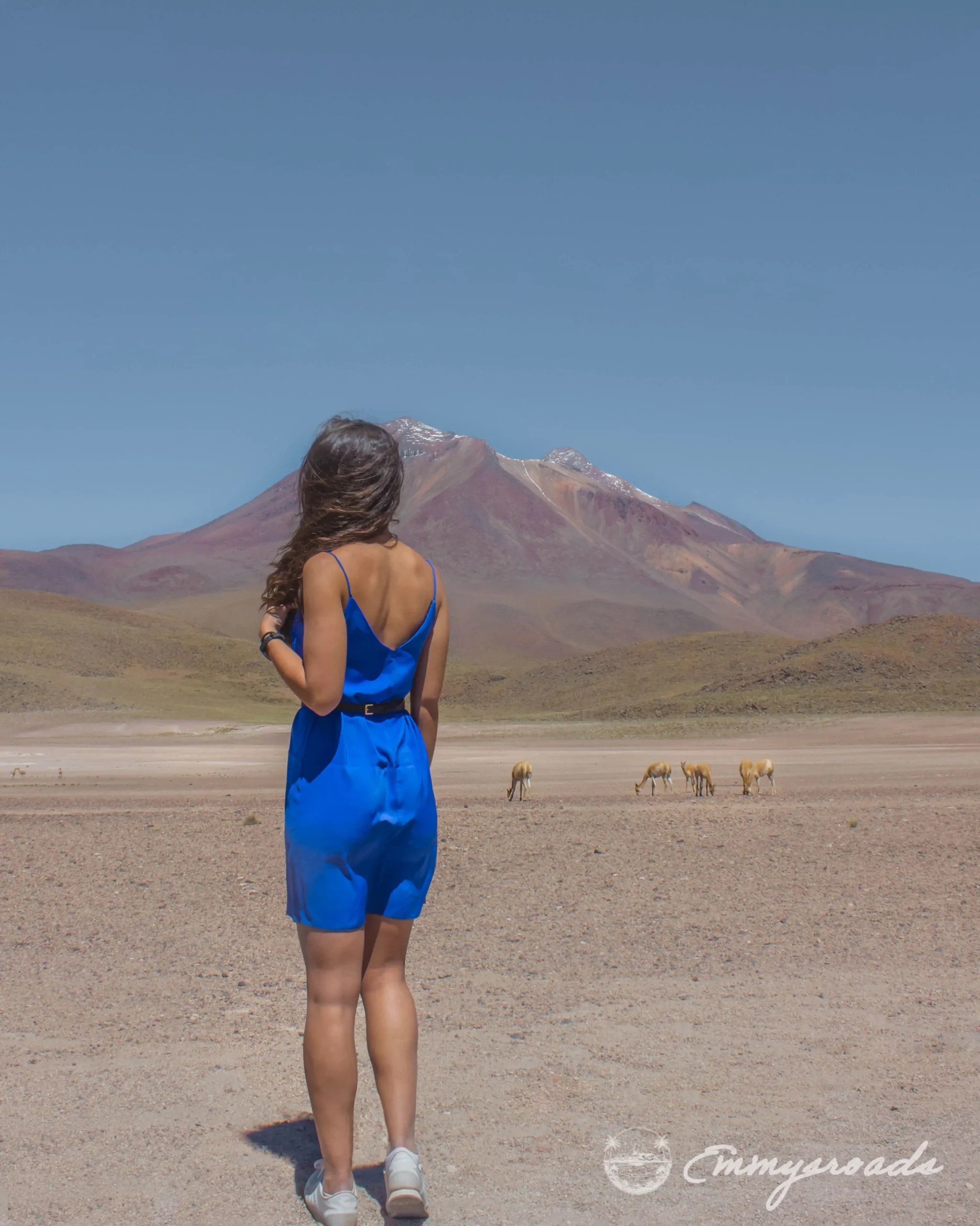 LAGUNA MISCANTI Atacama Chile