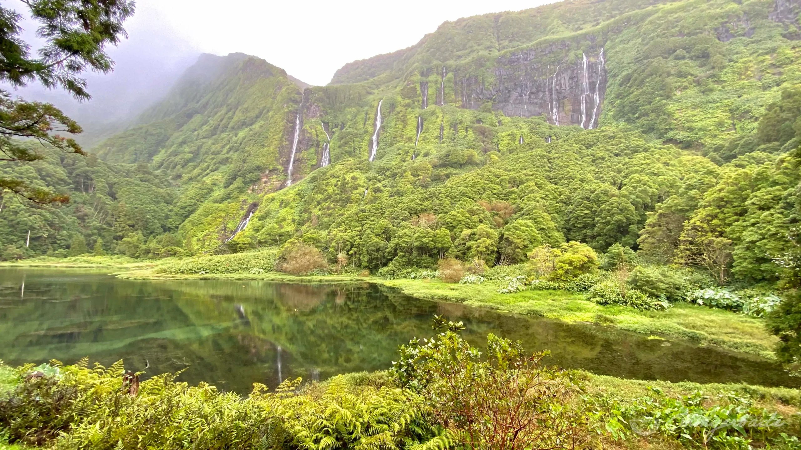 POCO DA RIBEIRA DO FERREIRO Flores Azores