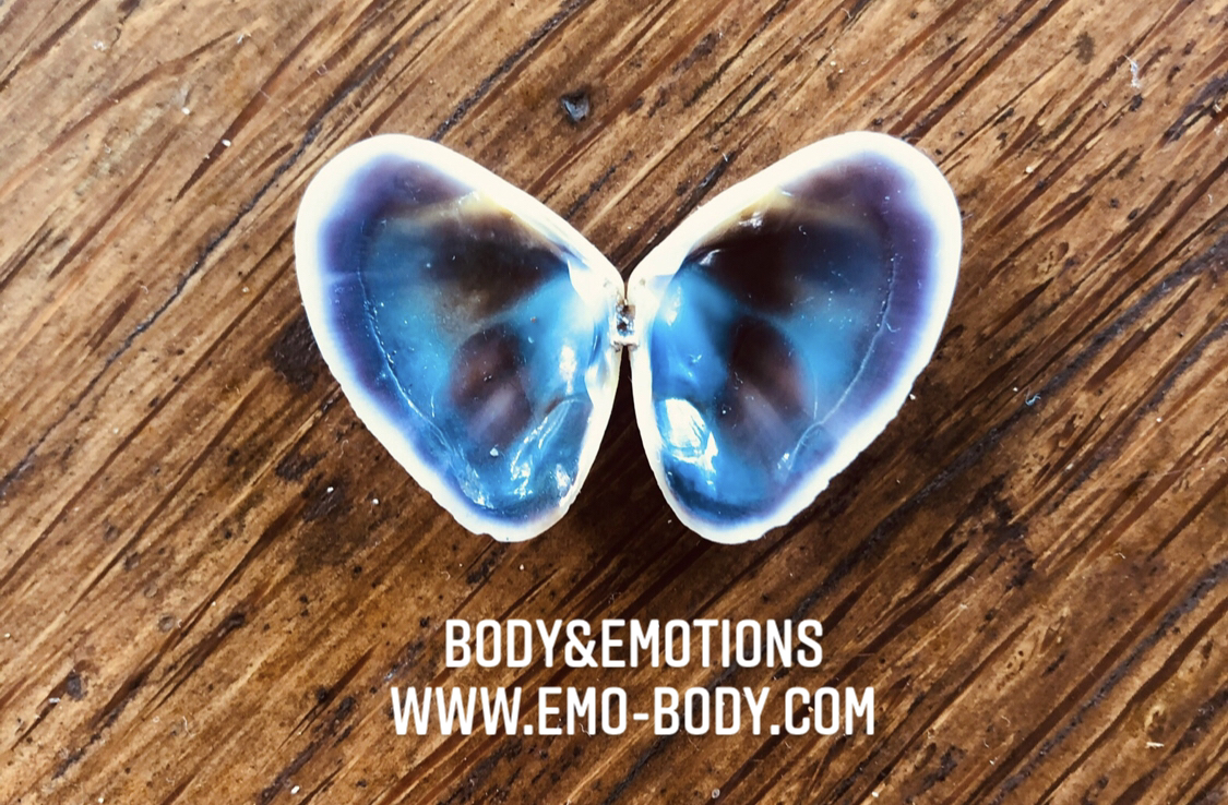 Body&Emotions