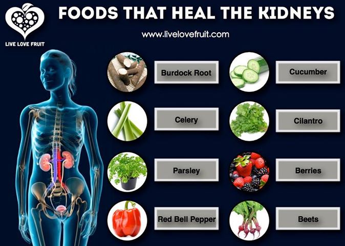 Foods That Heal The Kidneys Empoweredliving Me