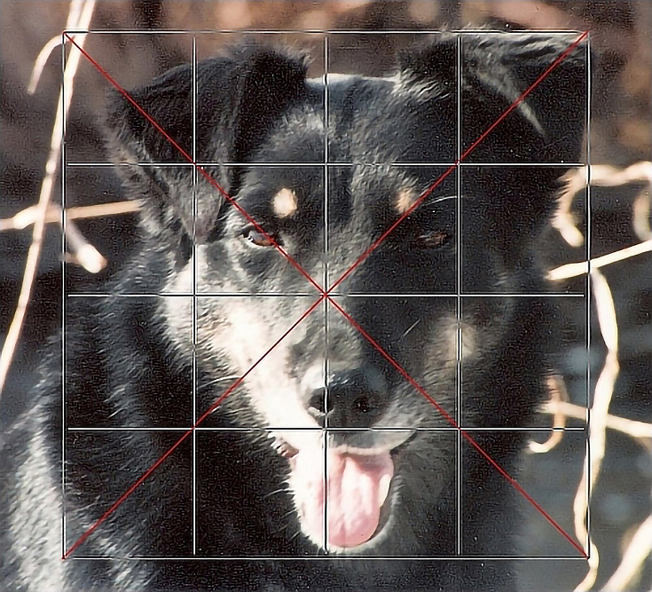 Choose an image · step 2: How To Create An Accurate Drawing Using The Grid Method Emptyeasel Com