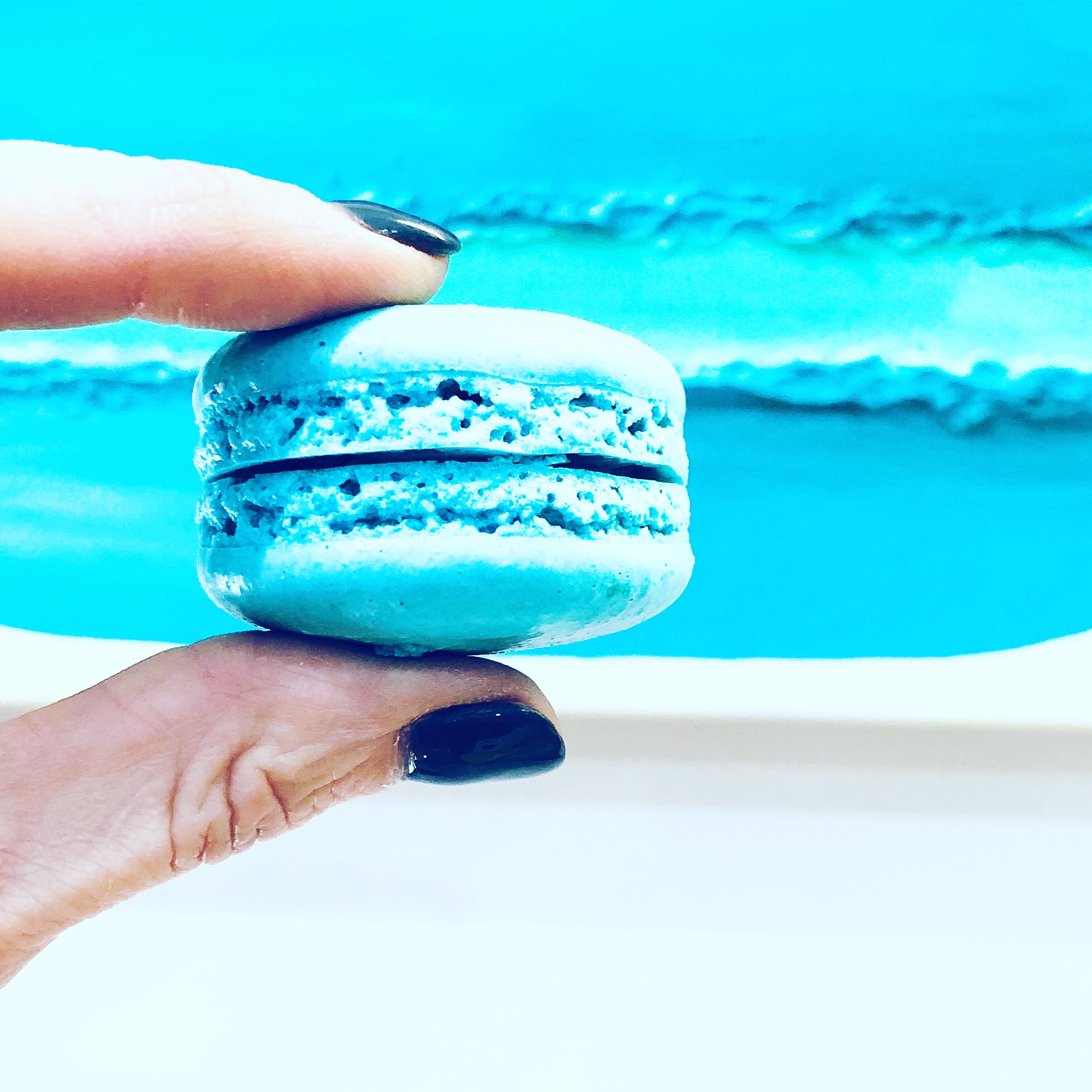 Macarons by Maddie Lu