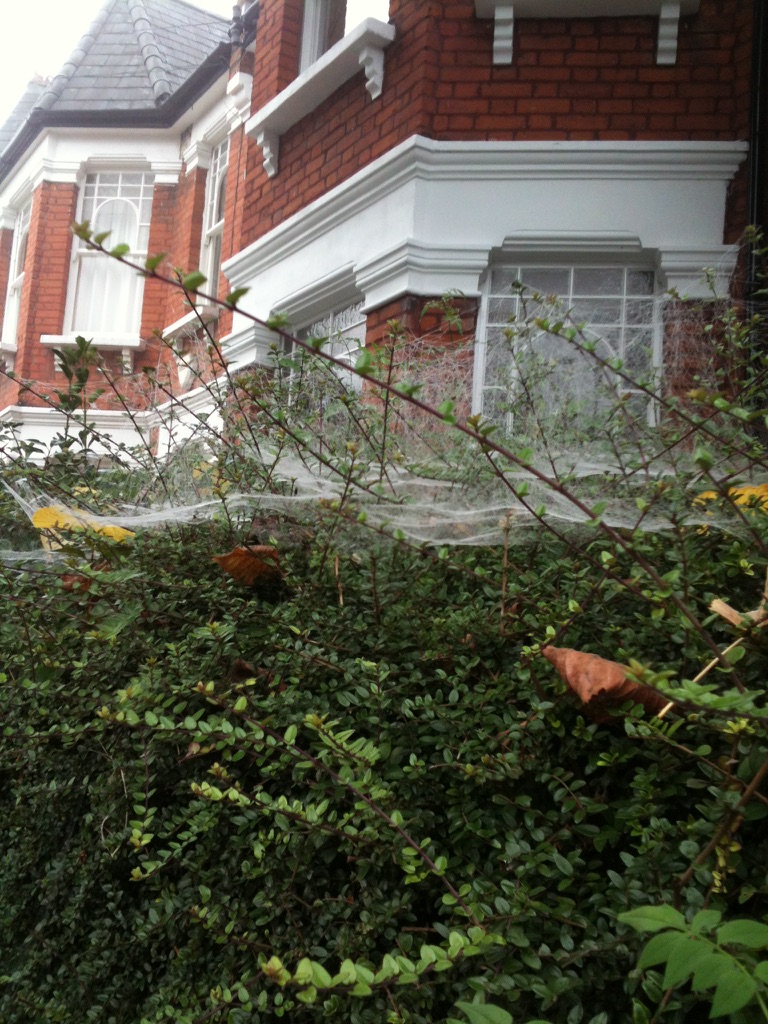 A familiar autumnal sight