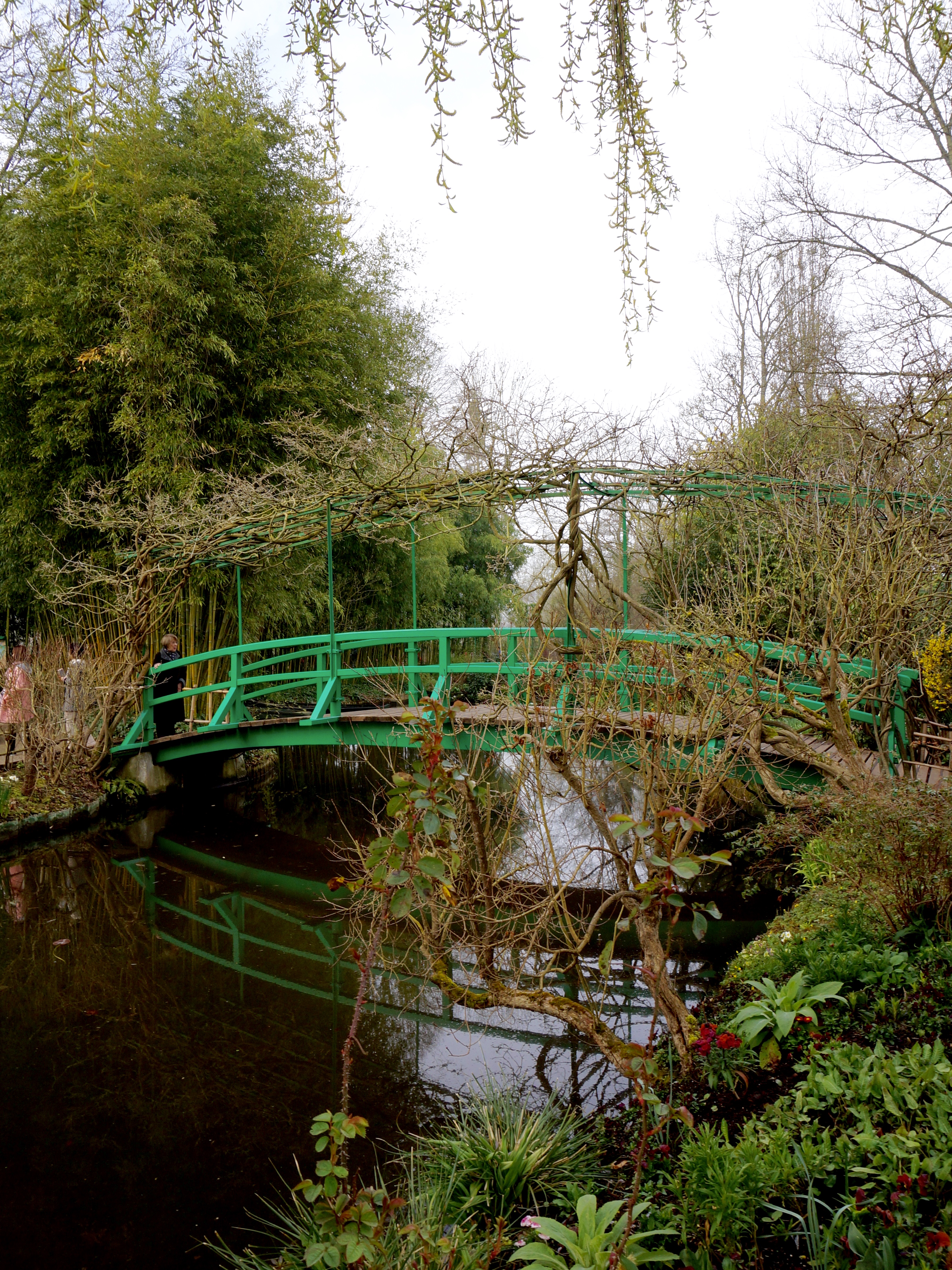 DSC05606