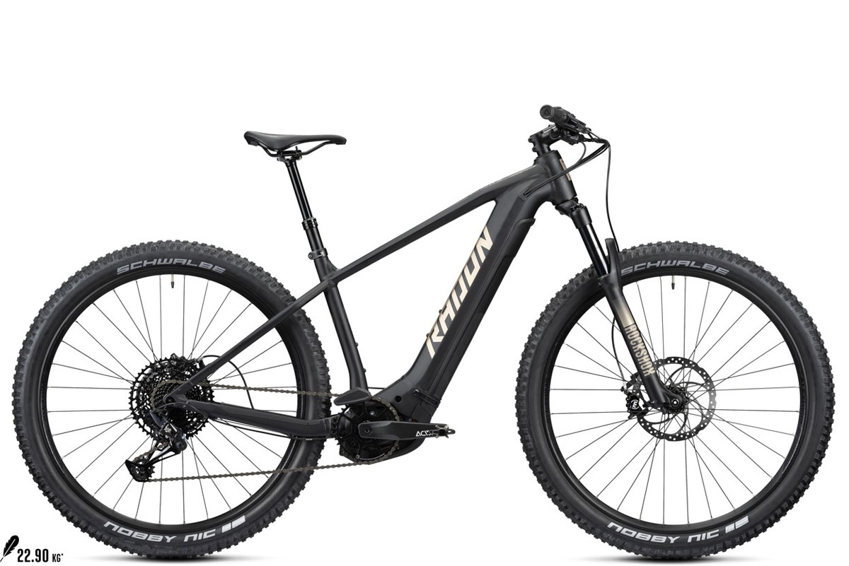 Trek Powerfly 4 Review