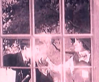 Zigoto_Cavaliere (1)